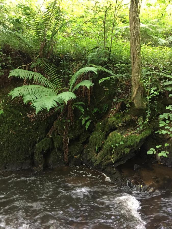 Hesperus Lodge Wellington  Luaran gambar